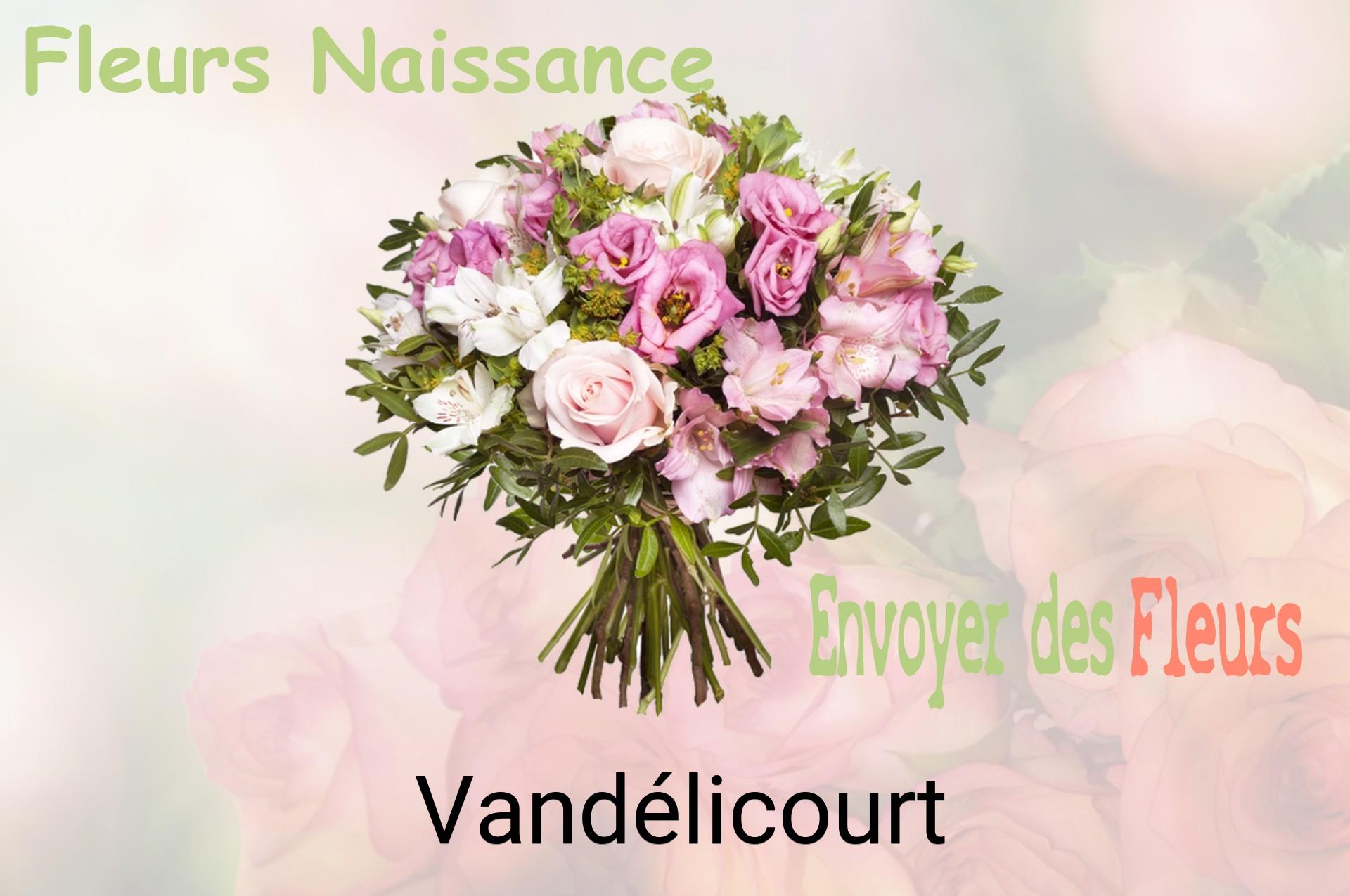 Bouquet de fleurs de naissance livré à Vandélicourt